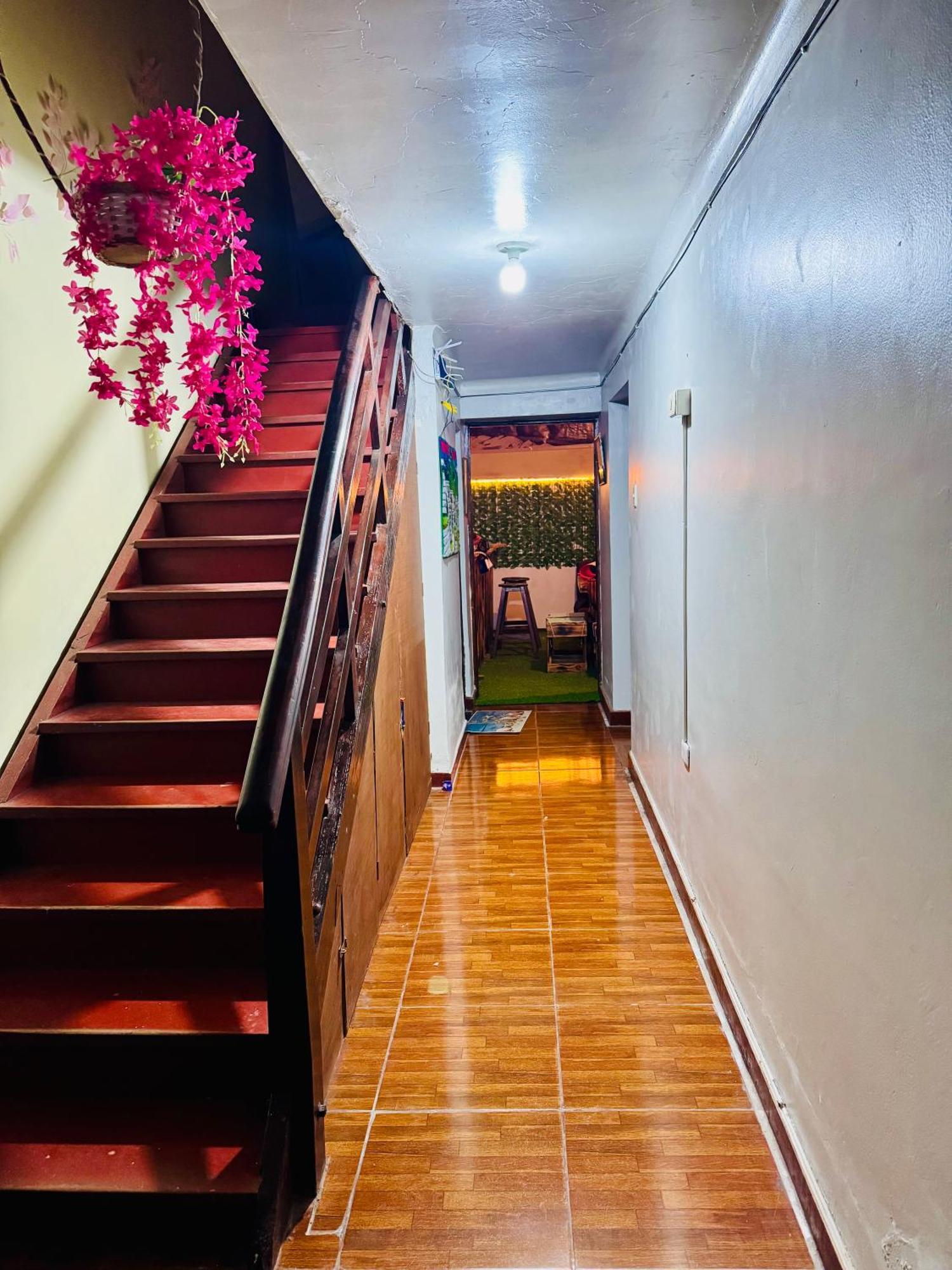 Ukumari Hostel Cuzco Zewnętrze zdjęcie